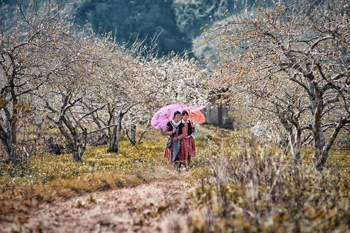 Ngày Tết, dong chơi lên miền sơn cước xem tục 'Vỗ mông' và những phong tục đón Tết kì lạ của đồng bào dân tộc