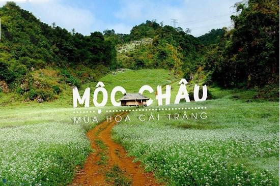 Tour Mộc Châu 2N1D: Mùa Hoa Mộc Châu - Săn Mây Tà Xùa