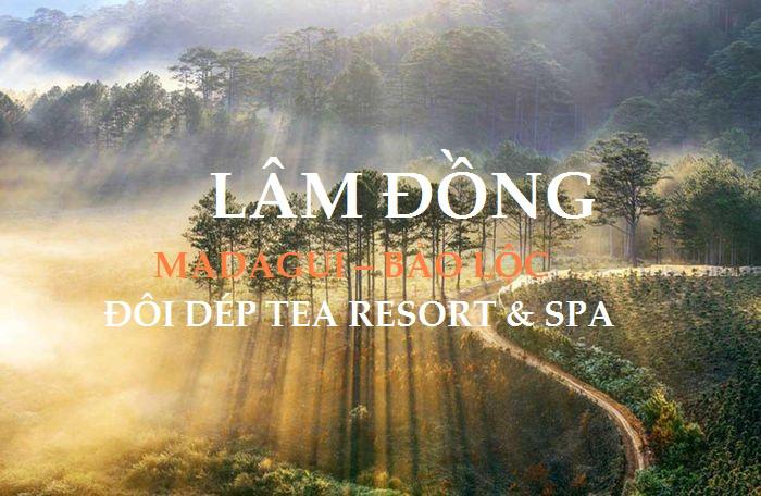 Hồ Chí Minh - Madagui - Bảo Lộc + Nghỉ Dưỡng Resort 4* 2 ngày 1 đêm